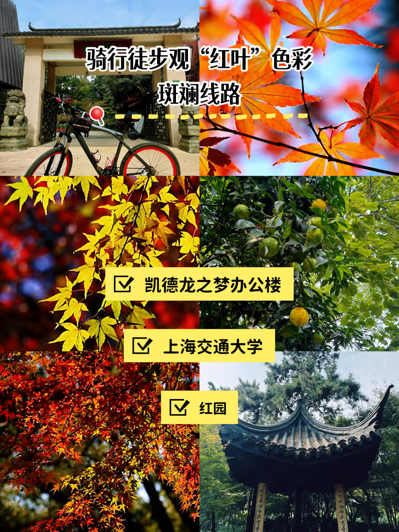 关于金秋赏叶骑行赛,运动中感受季节变迁的信息 关于金秋赏叶骑行赛,运动中感受季节变迁的信息