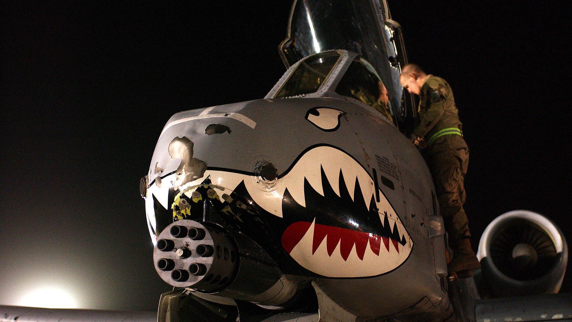 “未来新星：年度潜力排名榜单”，未来潜力新品