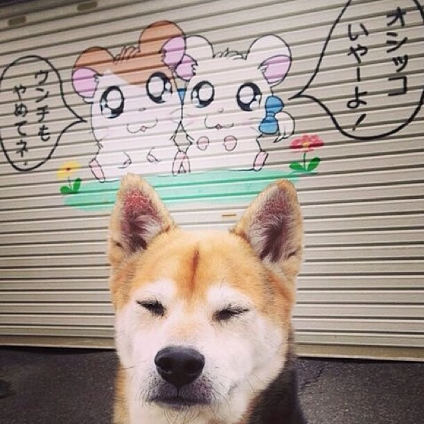 体育科技:虚拟现实和AI在篮球中的应用前景,虚拟体育是什么