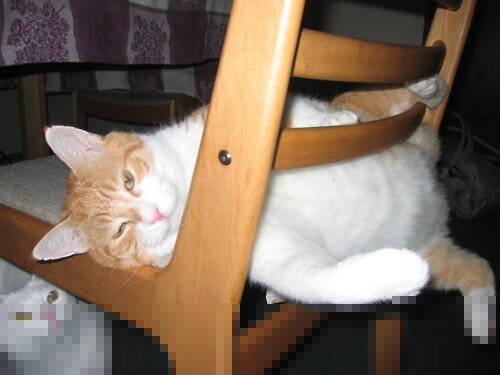 李明全场砍下34分,成为球队最大得分手!,李明is