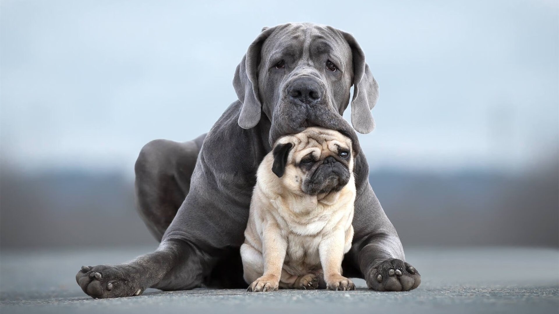 超级马里奥奥德赛新赛季线上锦标赛火力全开，超级马里奥奥德赛新作