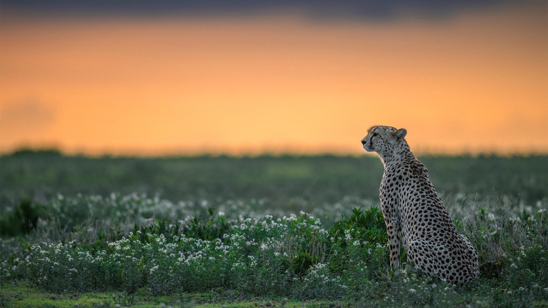 超级马里奥奥德赛线上巡回赛,童趣竞技引关注,马里奥奥德赛 年度游戏