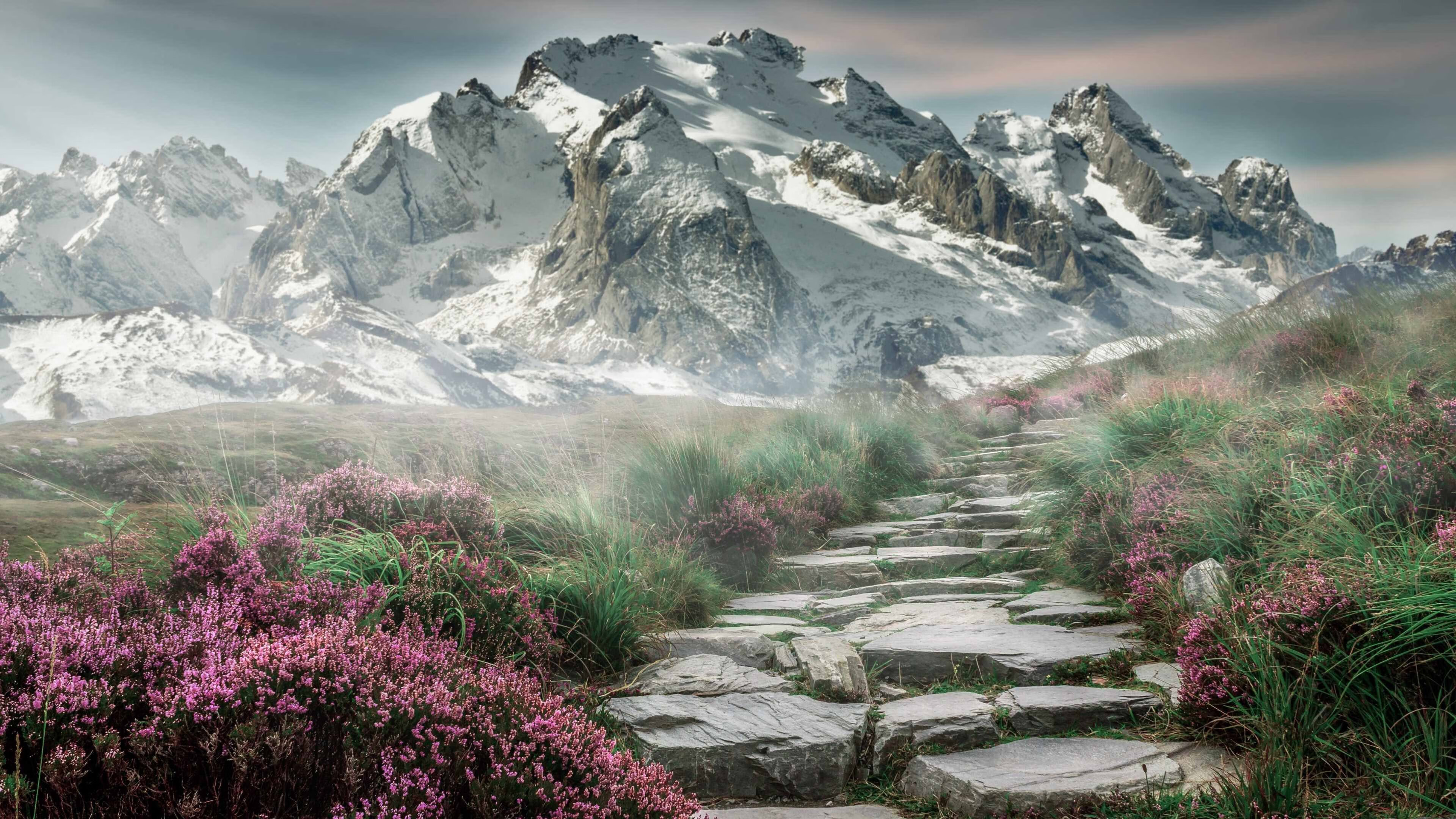 超越极限：欧冠球员的“极限运动”表现，历届欧超冠军