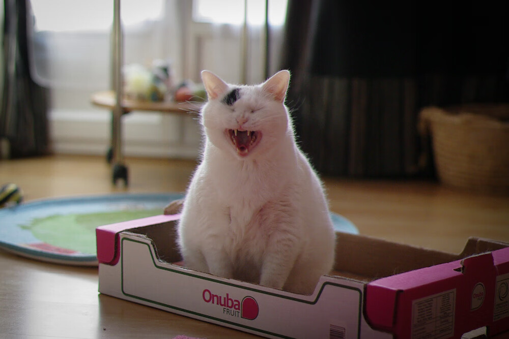 中超联赛媒体传播是否吸引观众,中超合作媒体