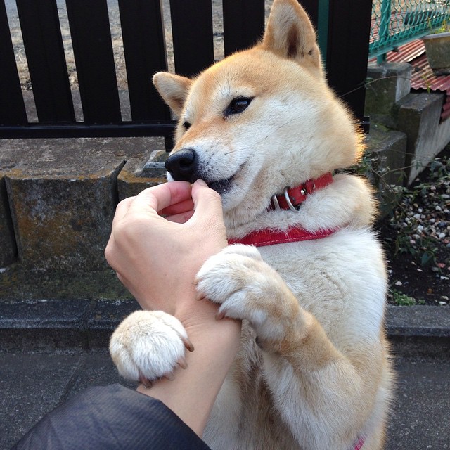 利物浦将迎战水晶宫，双方实力对比争夺胜利，利物浦对水晶宫结果