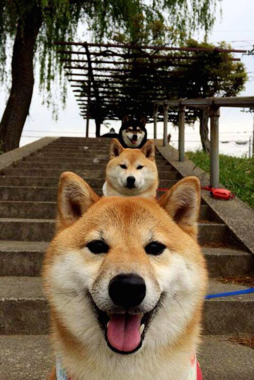 原州东浦新世代防守体系不断完善