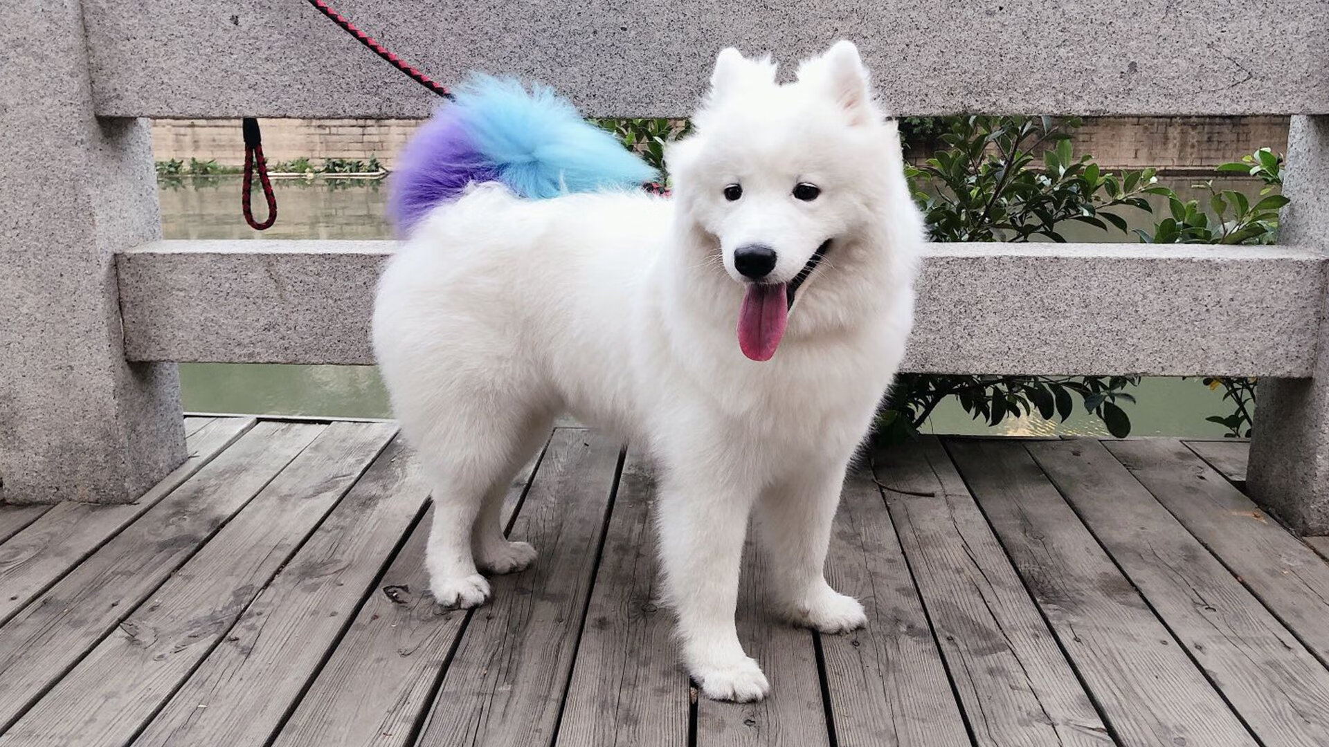 原州东浦新世代防守体系不断完善