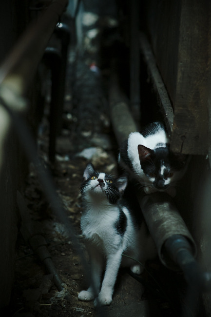 原州东浦新世代防守端表现稳固