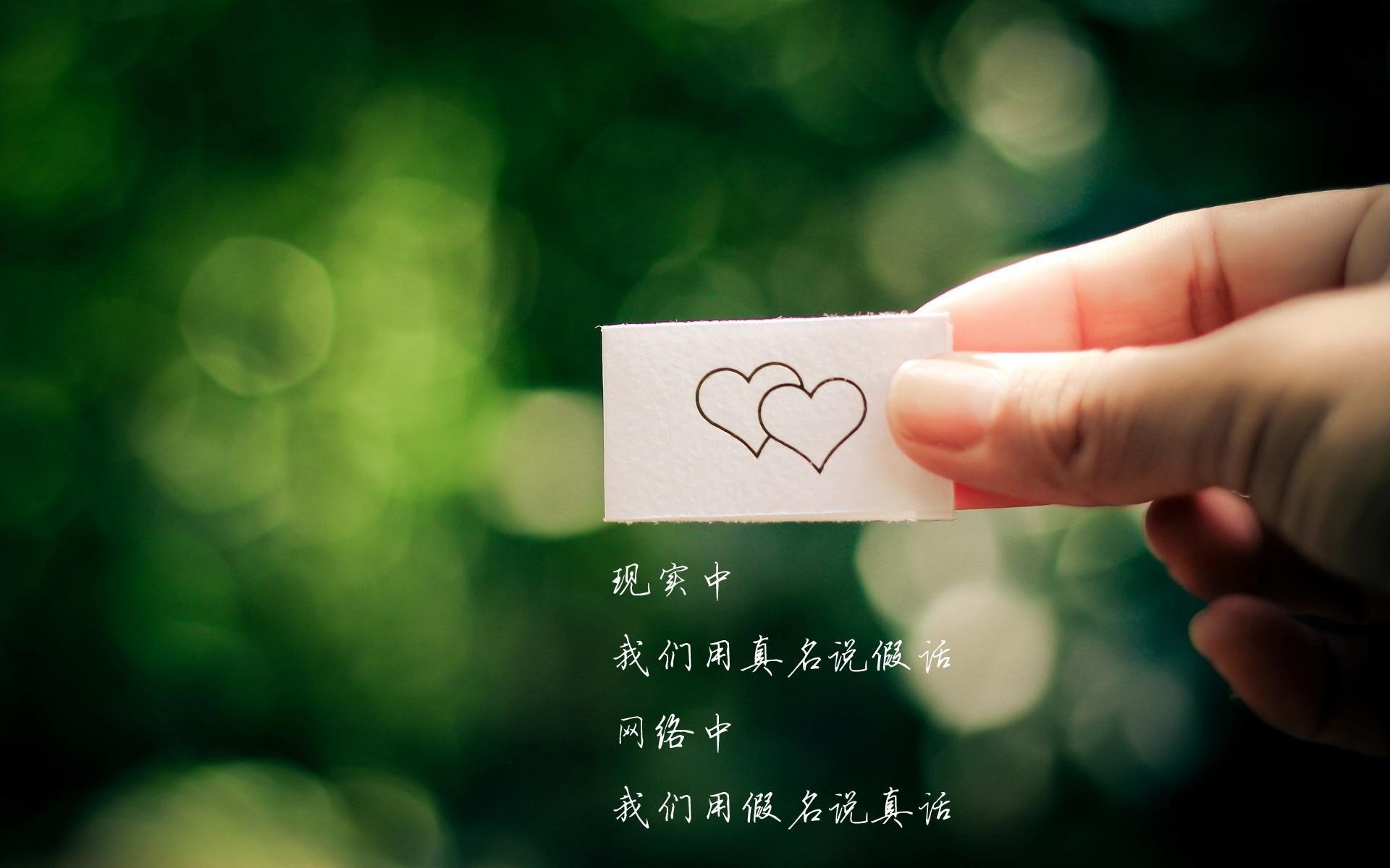 塞尔维亚队连胜跻身决赛！匈牙利队梦碎，塞尔维亚匈牙利人