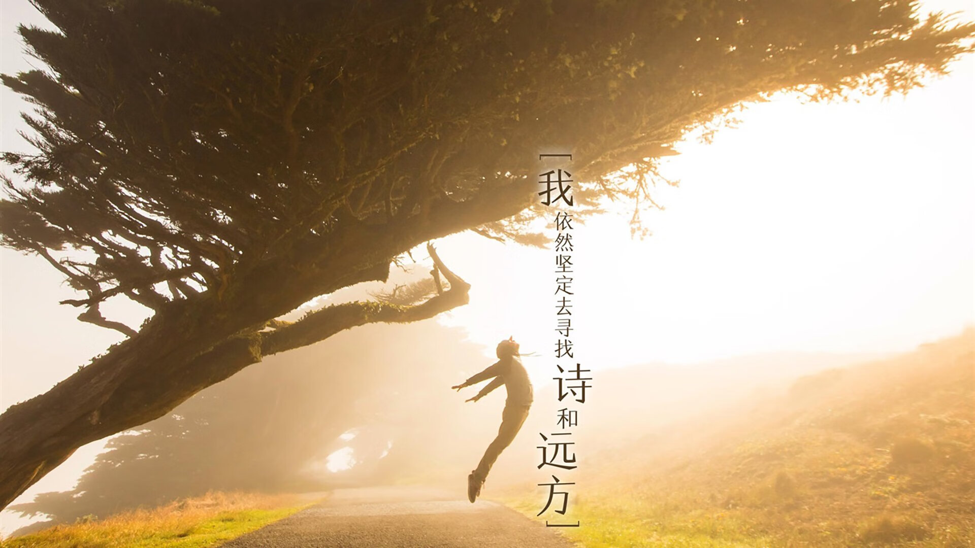 林书豪神秘归来 体育界再掀高潮，林书豪!