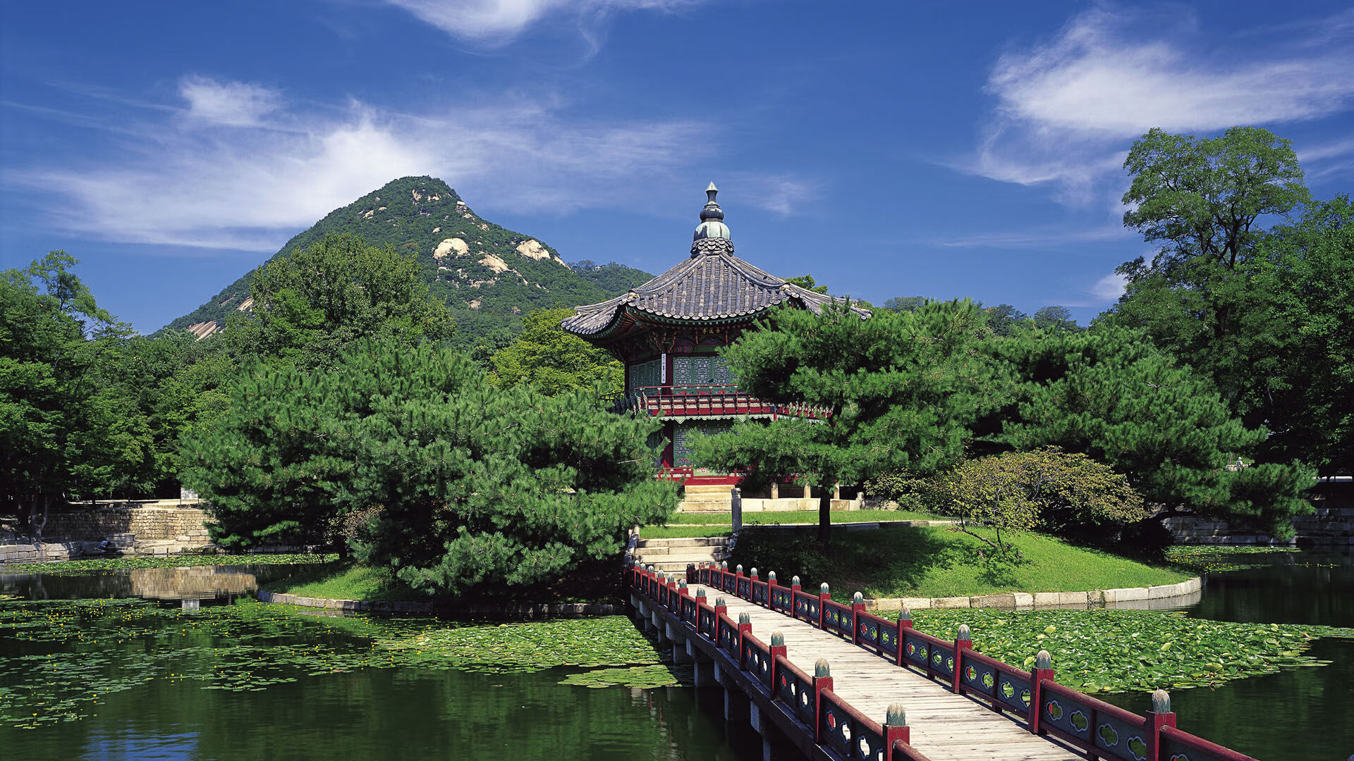 电竞游戏观战系统，电竞观众