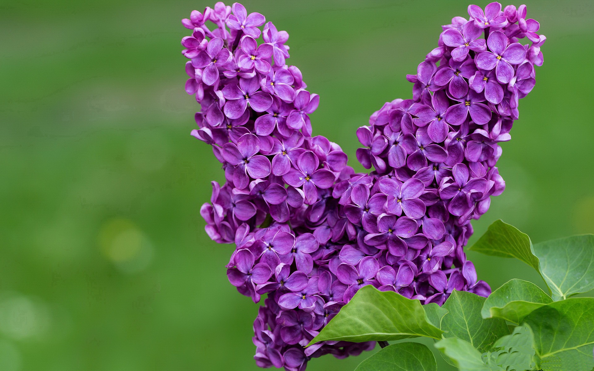 精彩足球对决中球员技术娴熟,表现神勇,足球对决图片