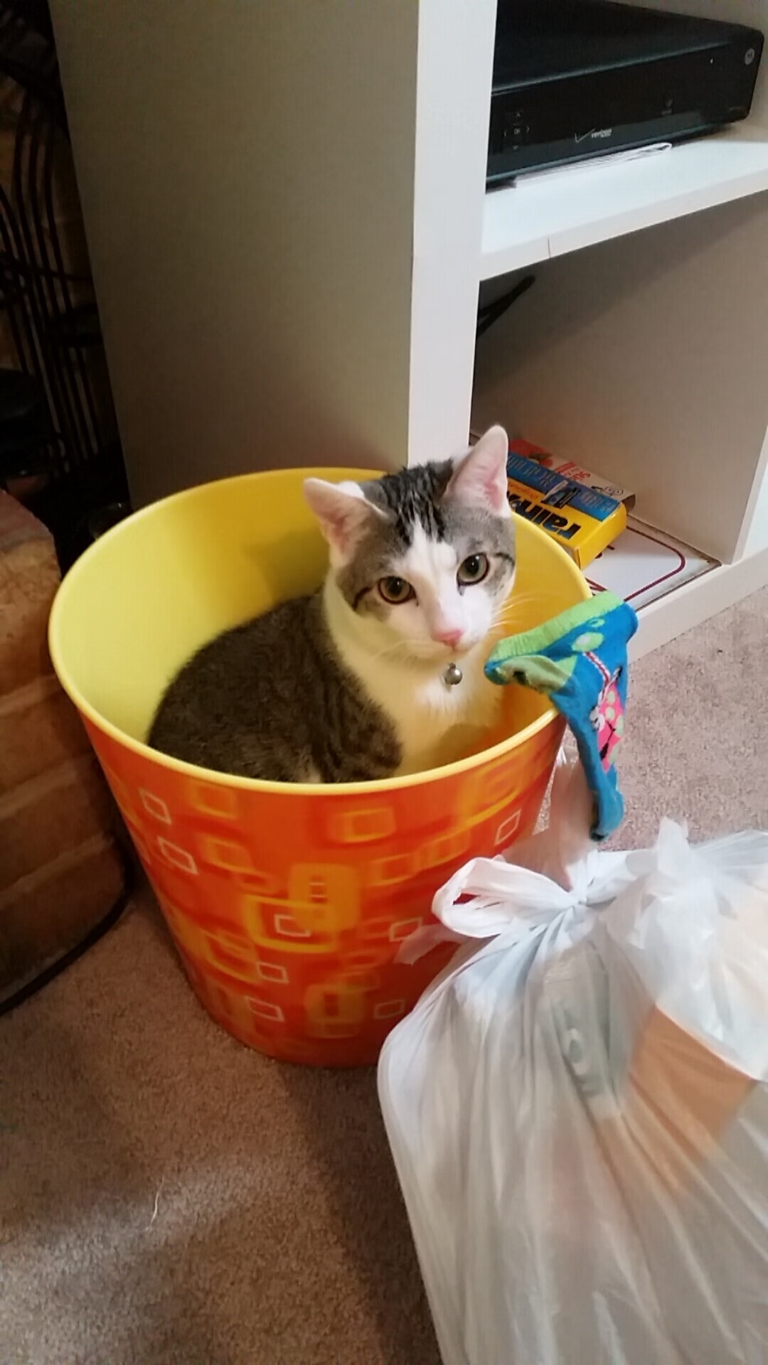 顶级对决！球队实力悬殊迎接激烈角逐，顶级球队队标