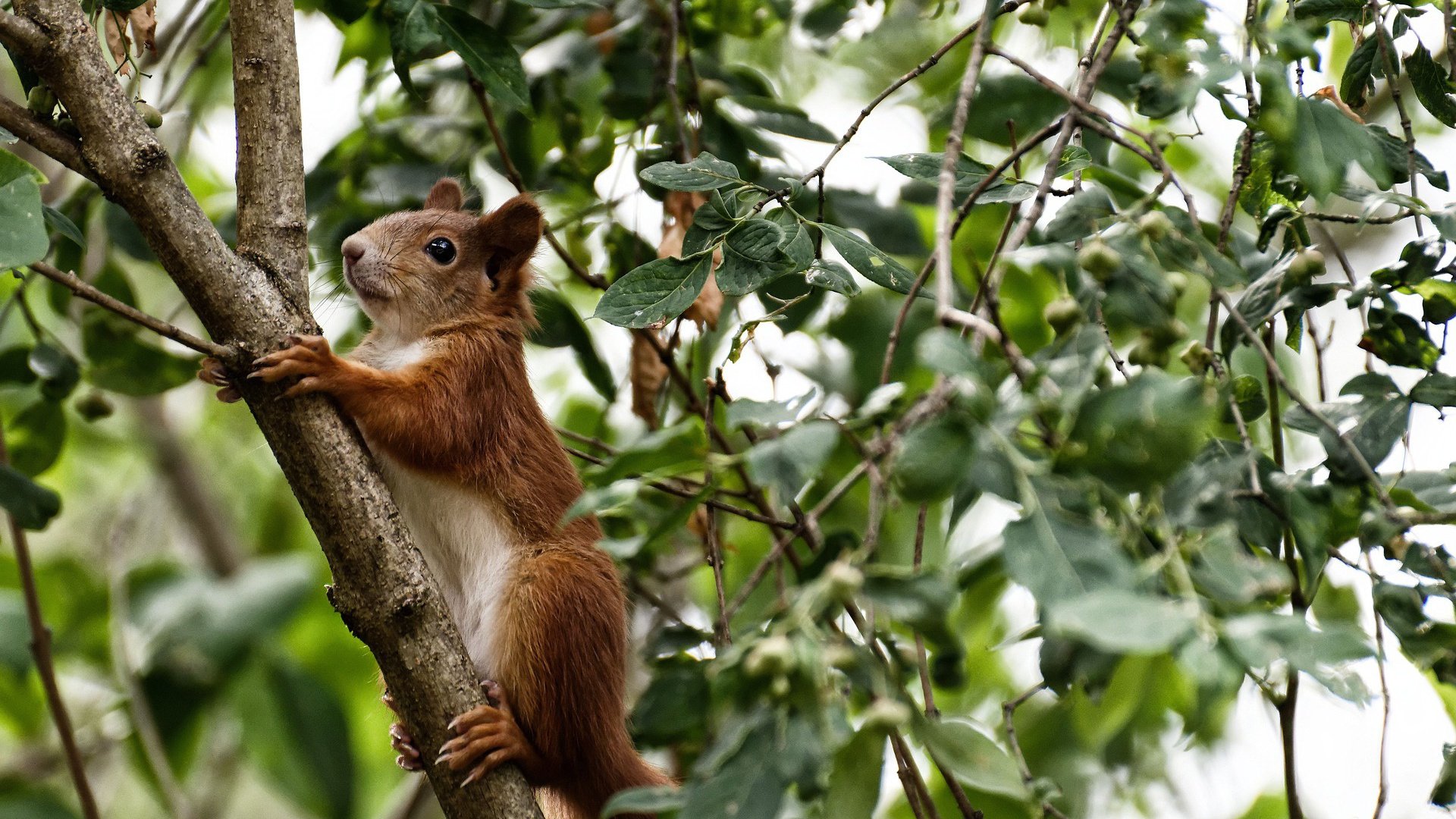 世界青少年冰球锦标赛中国队团体封王，世界青少年冰球锦标赛中国队团体封王是谁
