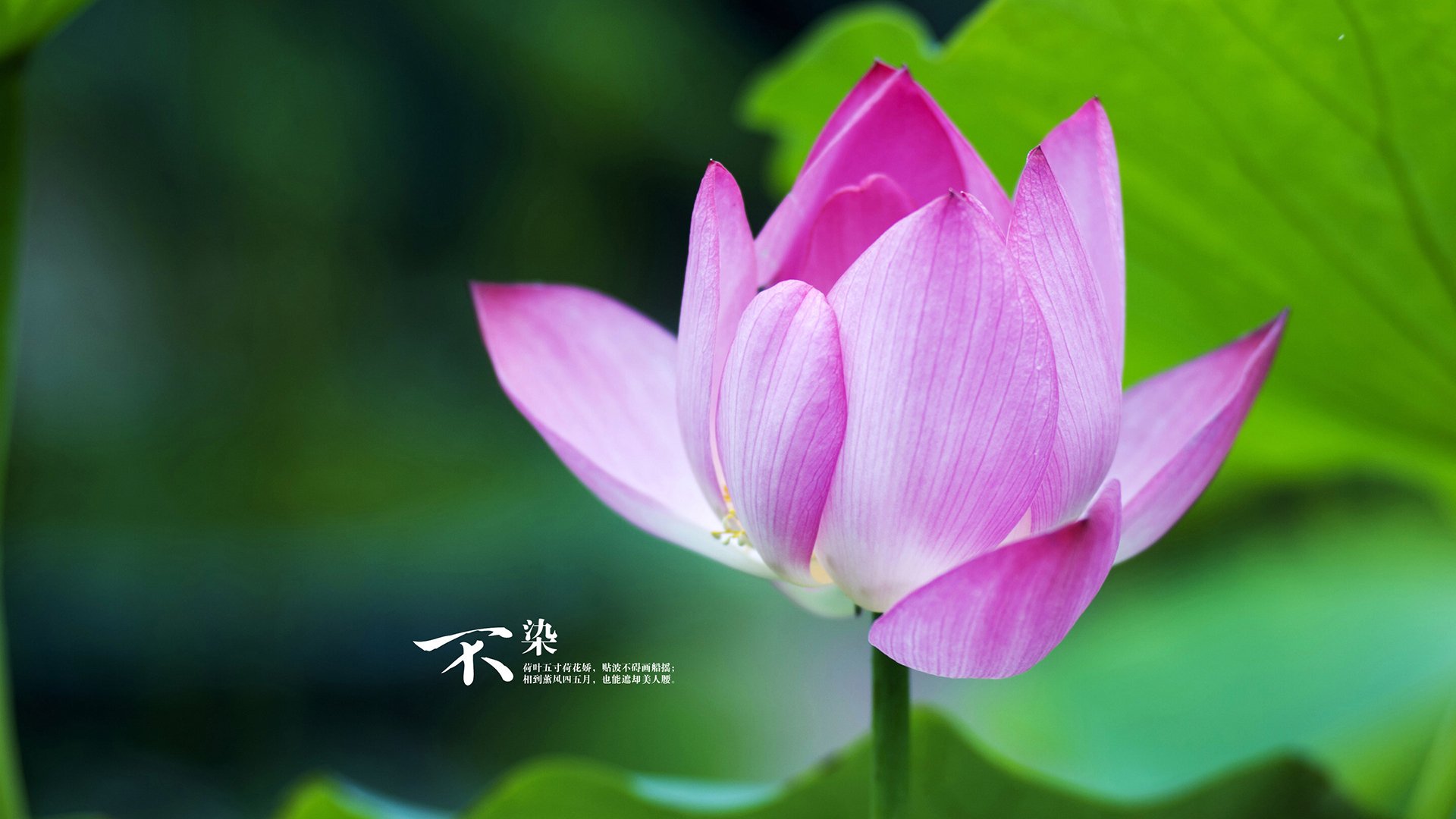 意甲球队通过数据分析优化中场组织策略,意甲球队球场