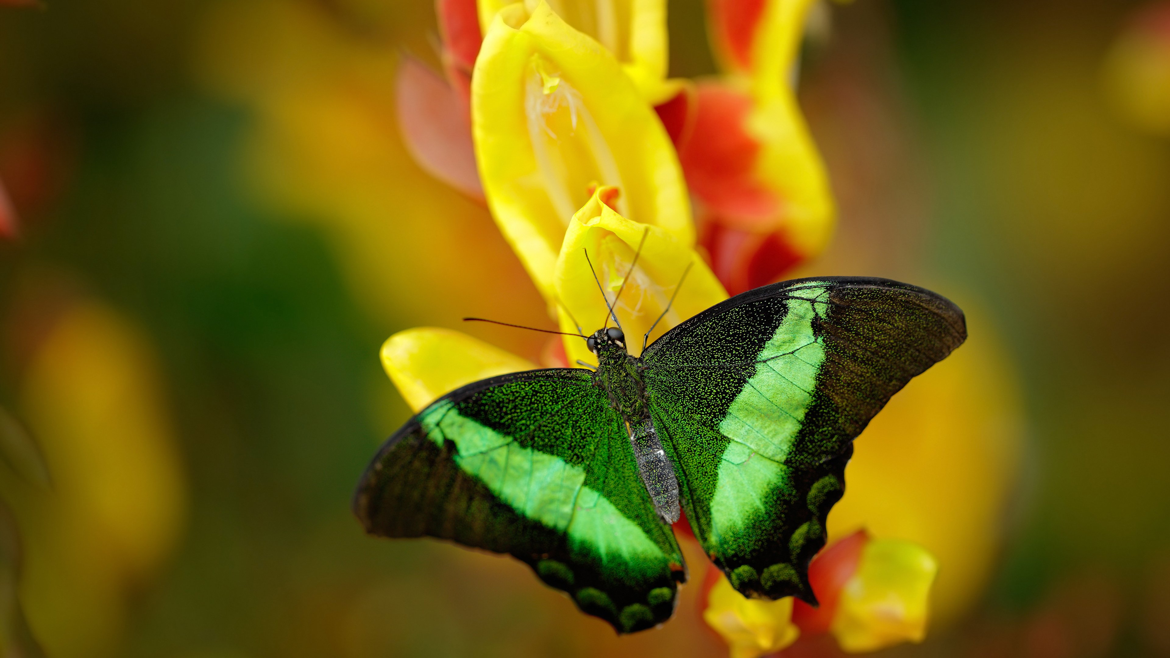 群众体育活动社会参与度提升策略,群众体育活动策划方案