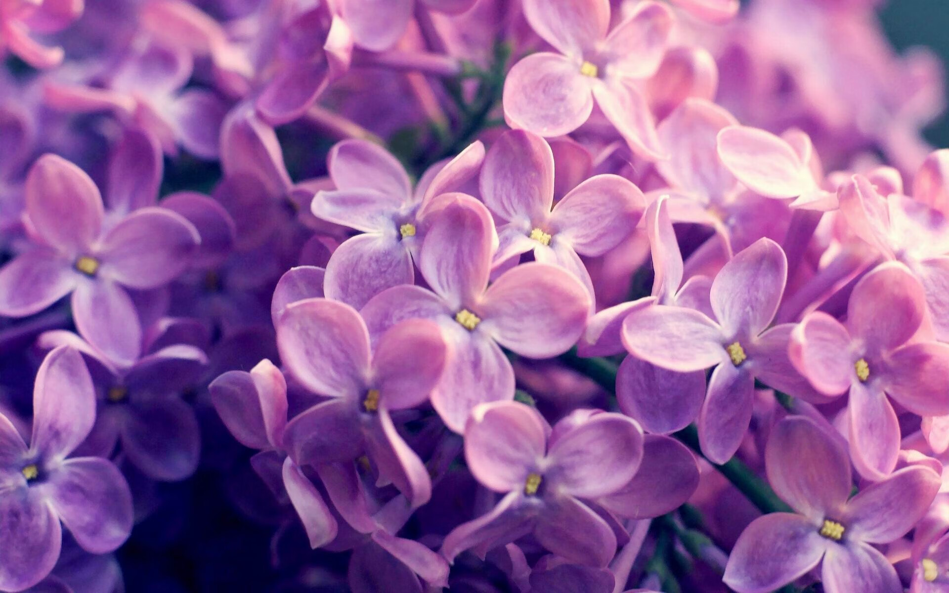 青少年体育社交行为心理健康，青少年体育活动现状调查