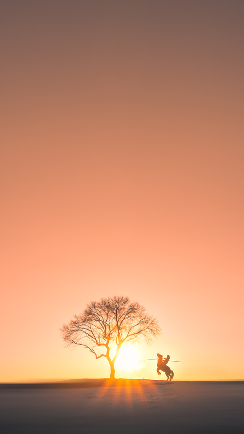 中国女篮核心阵容逐步稳定，中国女篮主力队员简介