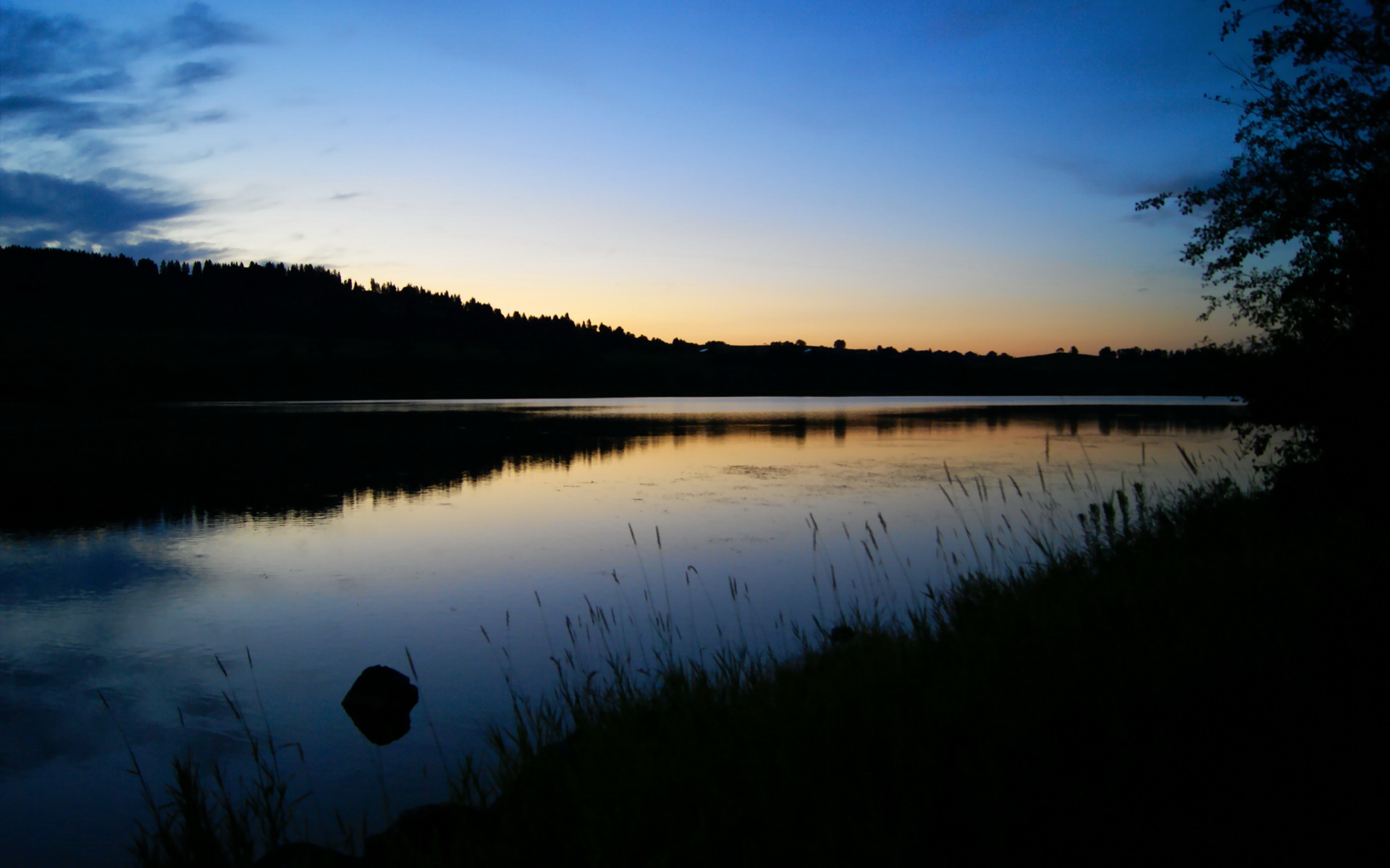 中超联赛国足晋级 球员发挥备受认可,中超国脚