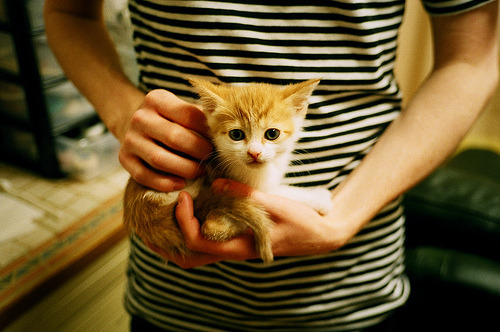 图赫尔强调团队配合，造就胜利，图赫尔助教团队