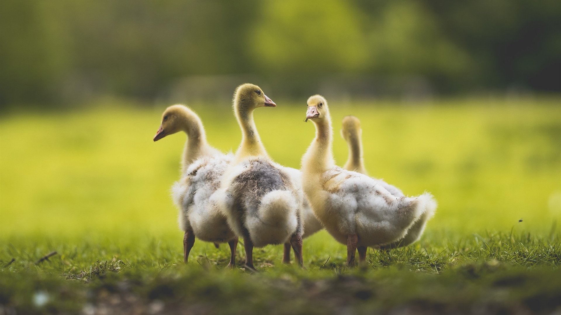 攀岩赛事推出线上实时积分排名平台，攀岩比赛时间