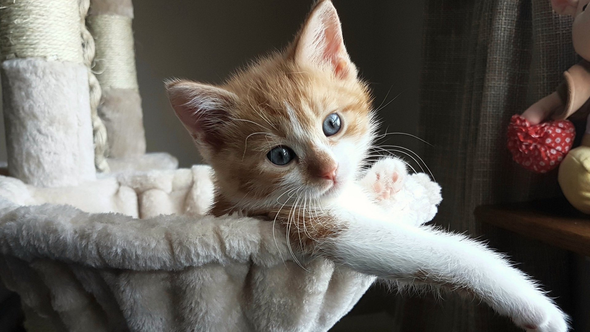 欧洲杯精彩再现：变阵、传球、绝杀不停！，欧洲欧洲杯