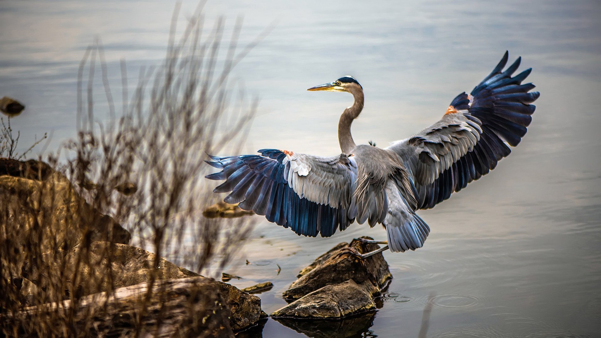 英超争冠决战:精彩对决不断,悬念无限!,英超比赛英超