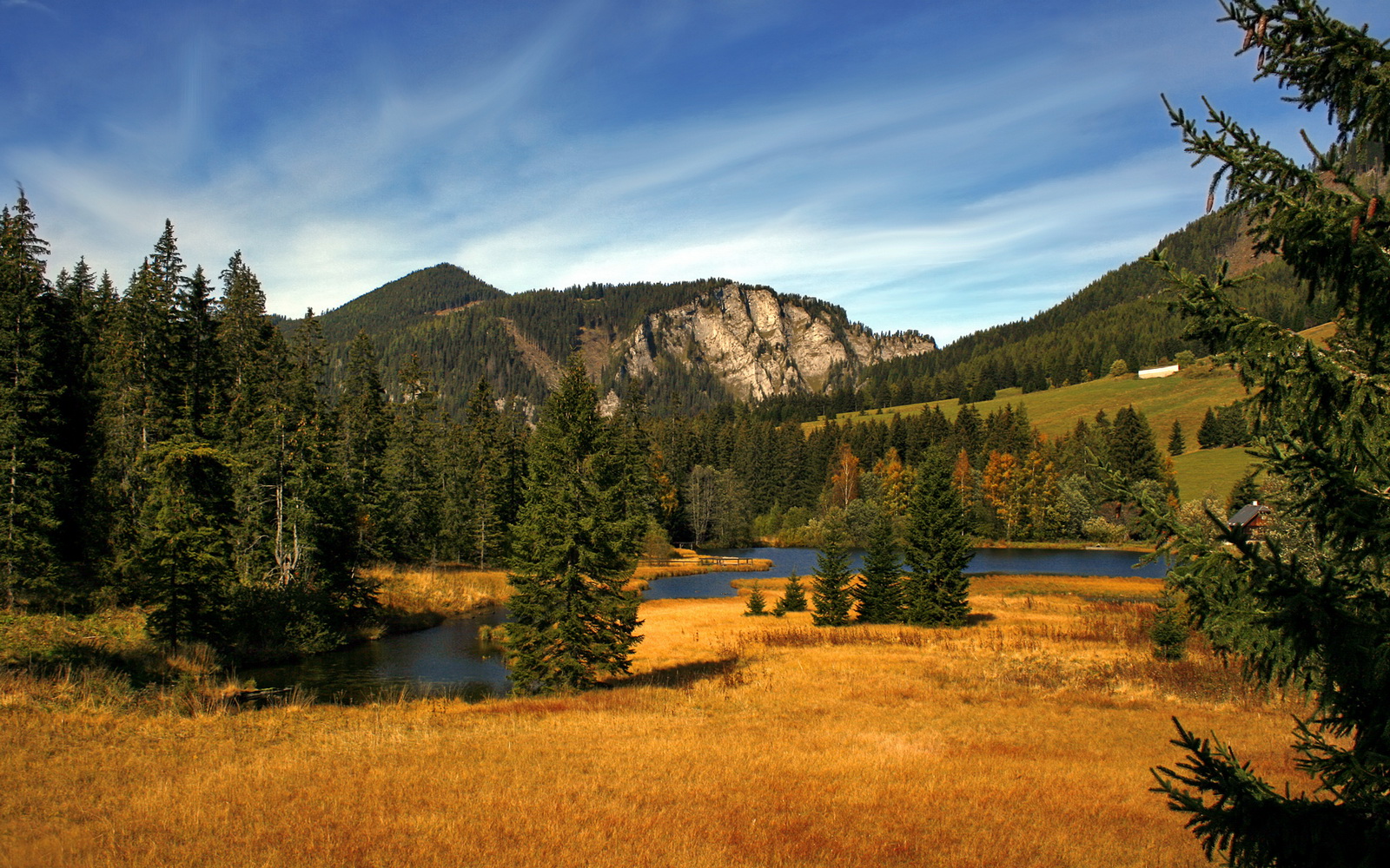 跨界合作推出足球主题的文创产品，市场反响热烈，足球文化创意秀
