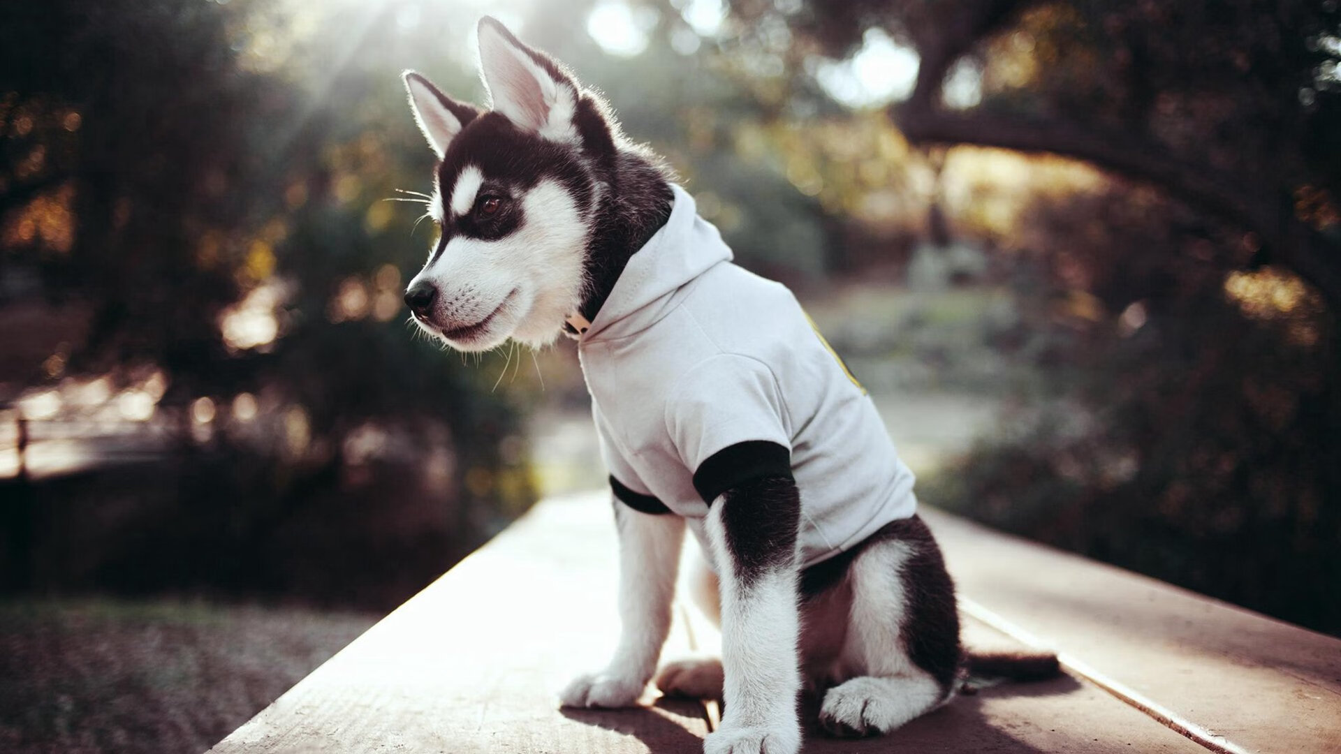 长距离对决中 施瓦茨展现自我风格